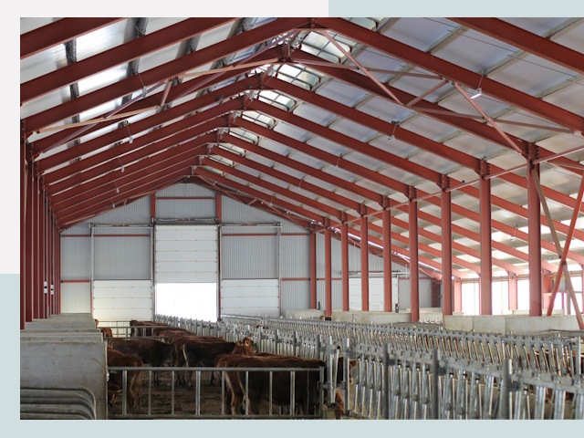 Строительство коровников в Барабинске