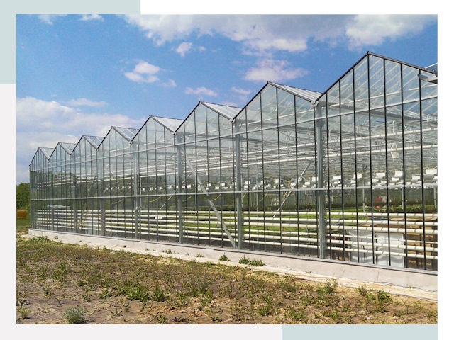 Строительство теплиц в Барабинск от 609 руб. за м²
